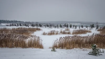 Náhled galerie Jezero Medard - zima 2026