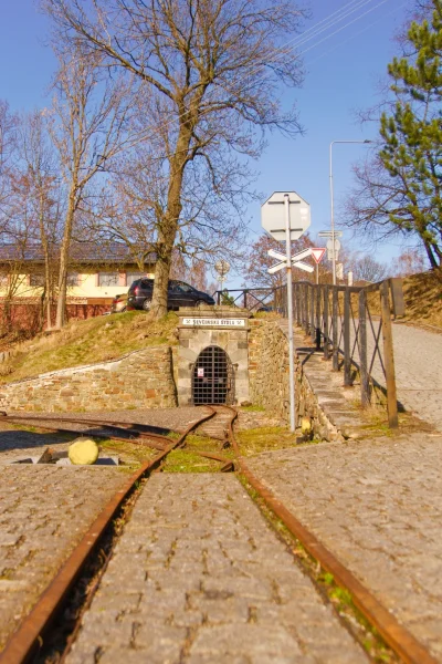 Náhled fotografie