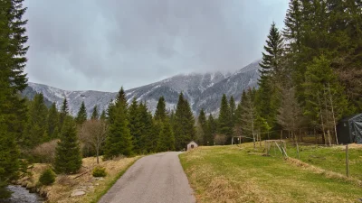 Náhled fotografie