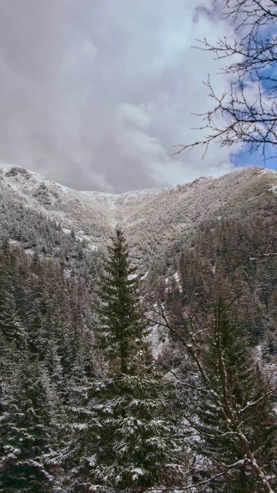 Náhled fotografie